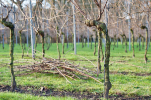 Foto 06-02-23 om 20.36