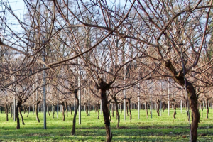 Foto 06-02-23 om 20.37 (2)