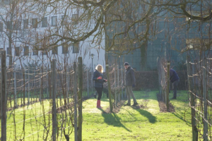 Foto 06-02-23 om 20.37 (3)