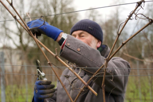 Foto 06-02-23 om 20.37