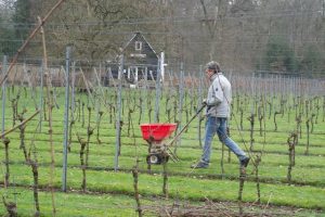 3A81762D-7539-40FB-BA91-CFA4D18AF5A7_1_105_c