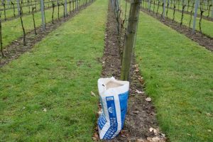 E850EAB9-C3DC-44A1-9807-13C977106CCC_1_201_a